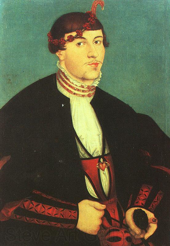 Lucas  Cranach Young Bridegroom Spain oil painting art